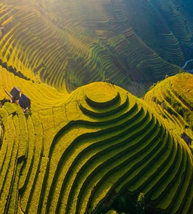 Mu cang chai